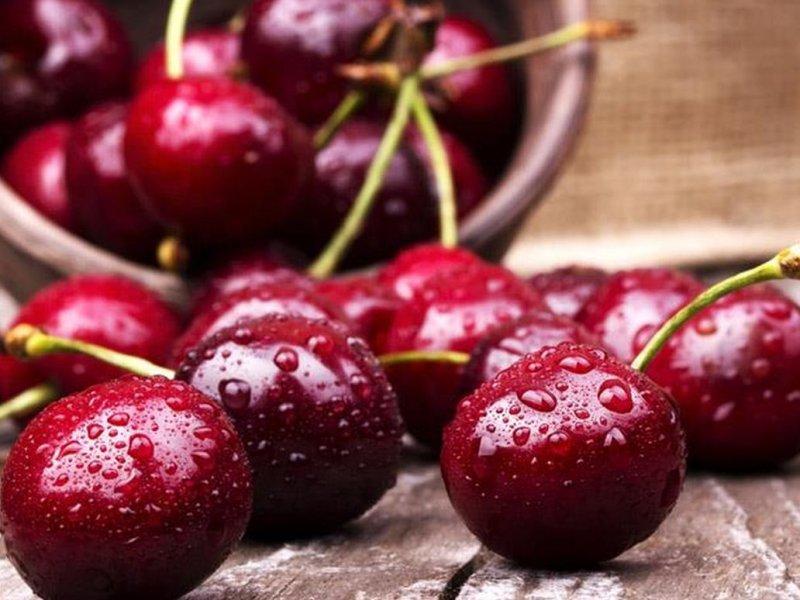 Вишня купить саженцы из питомника в Обнинске