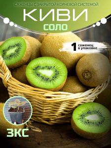 Киви Соло
